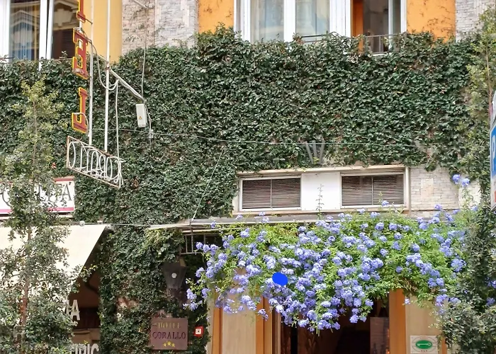 Corallo Готель