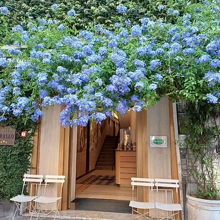 فندق Corallo لا سبيتسْيا