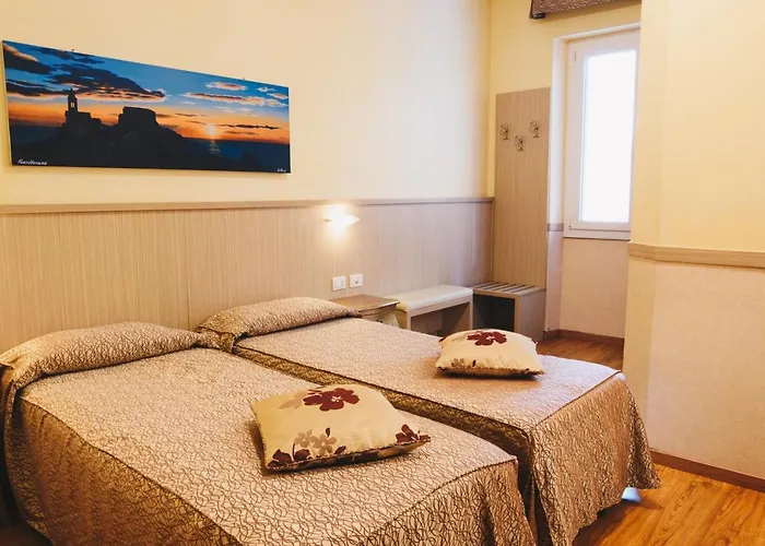 酒店 珊瑚酒店 3*